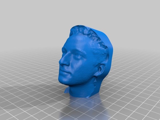 Scansione 3d brians tridimensionale testa persone 3D print model - Mito3D