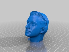 3d scan brians three dimensional head people 3d print model - Mito3D