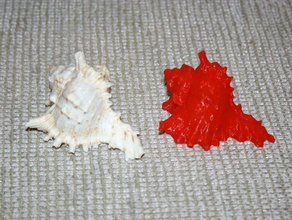 deniz kabuğu tarar kopyaları 3d print model - Mito3D