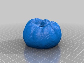 squash Kunst makerbotdigitizer scan 3d print model - Mito3D