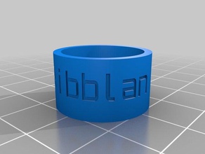 bibblan Regeln ring Ringe angepasst 3d print model - Mito3D