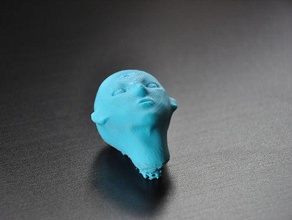insan headwoman biyoloji 3d print model - Mito3D
