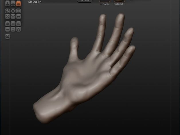 hand Biologie 3D print model - Mito3D