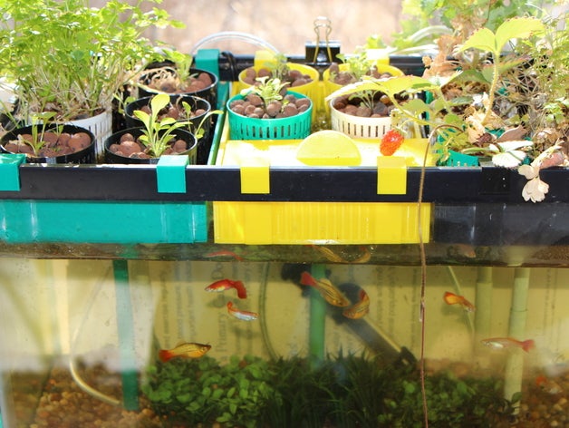 10 litros sistema de aquaponia ao ar livre jardim aquário peixe a hidroponia plantas tanque 3D print model - Mito3D