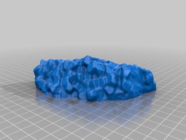silurien sol pisolite de l'apprentissage makerbotdigitizer scan 3D print model - Mito3D