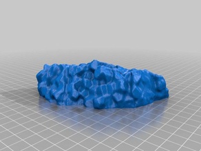 Silur Boden pisolite lernen makerbotdigitizer scan 3d print model - Mito3D