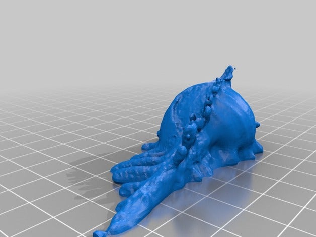 épineux de l'escargot molluscagastropod learning geology geoscience iowastate makerbotdigitizer mollusk paleobiology paleontology scan 3D print model - Mito3D