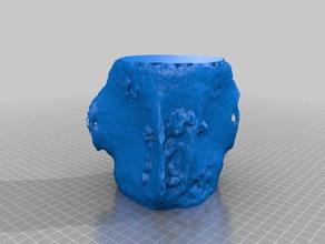 mammifère marin vertèbre de baleine art makerbotdigitizer scan 3d print model - Mito3D