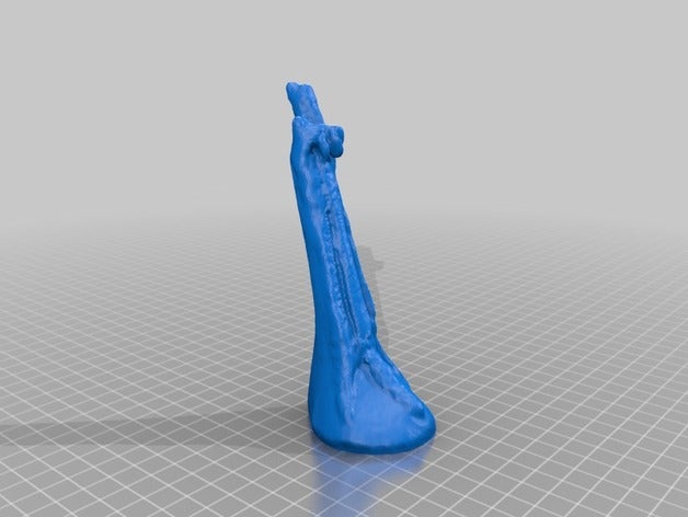 fossil horse foot orohippuseocene biology geology geoscience iowastate makerbotdigitizer paleobiology paleontology scan wyoming 3D print model - Mito3D