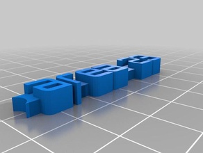 2 bölge 23 Anahtarlık organizasyon özelleştirilmiş 3d print model - Mito3D