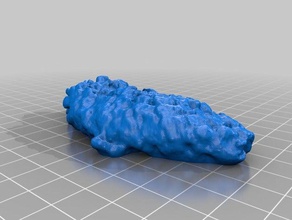 fruits epiprenum de l'apprentissage makerbotdigitizer scan 3d print model - Mito3D