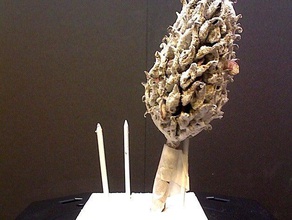 tohum manolya ağacı sanat makerbotdigitizer tarama 3d print model - Mito3D