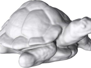 3d-scan hässliche Schildkröte Sache durchsucht Replikate matterform mcz pros Gesicht zeigen scanner 3d print model - Mito3D