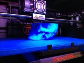 skull scans replicas 3d print model - Mito3D