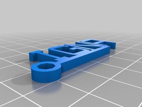 igna keychan Schlüsselanhänger angepasst 3d print model - Mito3D