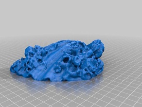 vieira barnacles learning bivalve clam geology geoscience iowastate makerbotdigitizer mollusc mollusca mollusk paleobiology paleontology pelecypod scan 3d print model - Mito3D