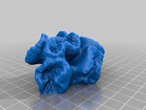 moderne Korallen-2 lernen makerbotdigitizer scan 3d print model - Mito3D