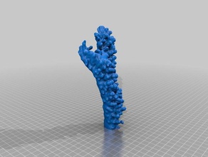 branching coral learning coelenterata geology geoscience iowastate paleobiology paleontology scleractinia 3d print model - Mito3D