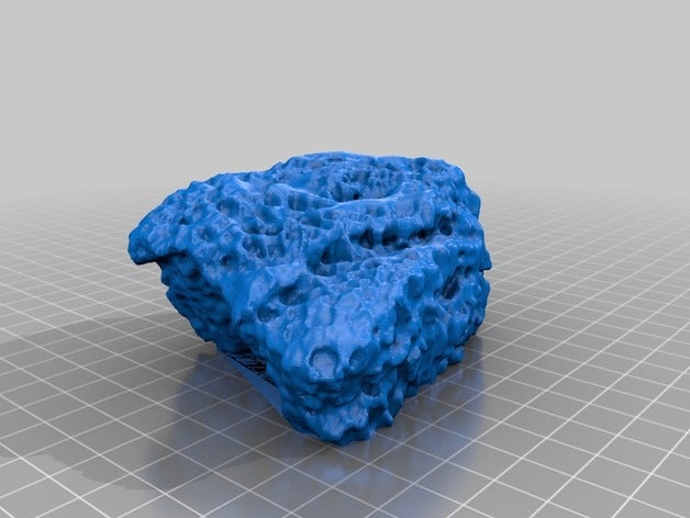 tabular coral de aprendizagem makerbotdigitizer scan 3D print model - Mito3D