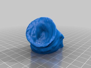 yalnız rugose mercan tarar kopyaları makerbotdigitizer 3d print model - Mito3D