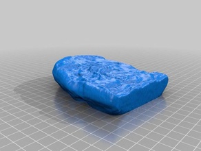 bitki fosili öğrenme makerbotdigitizer tarama 3d print model - Mito3D