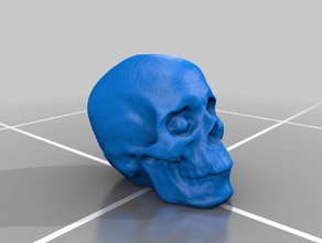 photogrammetry created skull agisoft photoscan scans replicas 3d scan pointcloud 3d print model - Mito3D