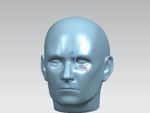 cabeza humana, nurbs la gente 3d print model - Mito3D