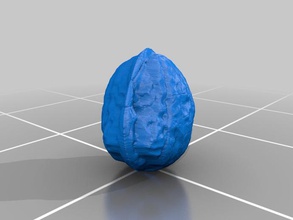 walnut other food scan 3d print model - Mito3D