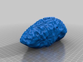 brain coral2013-10-31 1226 am art geology geosience makerbotdigitizer paleobiology paleontology scan 3d print model - Mito3D