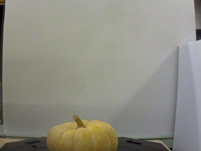gourd number 9 art makerbotdigitizer scan 3d print model - Mito3D