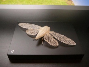 cicada other 3d animal art ghosts form gifts insect massey university pla reprap te papa tongarewa toy 3d print model - Mito3D