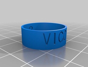 v3 anéis personalizado 3d print model - Mito3D