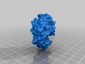 lysozyme enzyme biology 3d print model - Mito3D