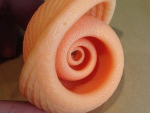 swirly thingy per la matematica art nifty shell yonof 3d print model - Mito3D