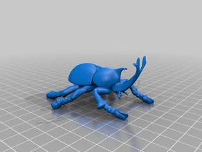 beetle modelli 3d print model - Mito3D