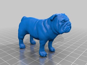 bulldog modelos 3d print model - Mito3D
