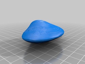 clam modelleri 3d print model - Mito3D