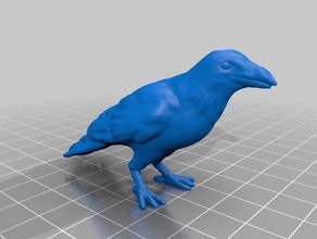 crow models 3d print model - Mito3D