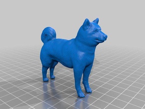 cão modelos doge japonês 3d print model - Mito3D