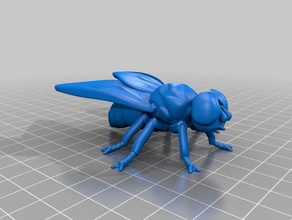 fly models 3d print model - Mito3D