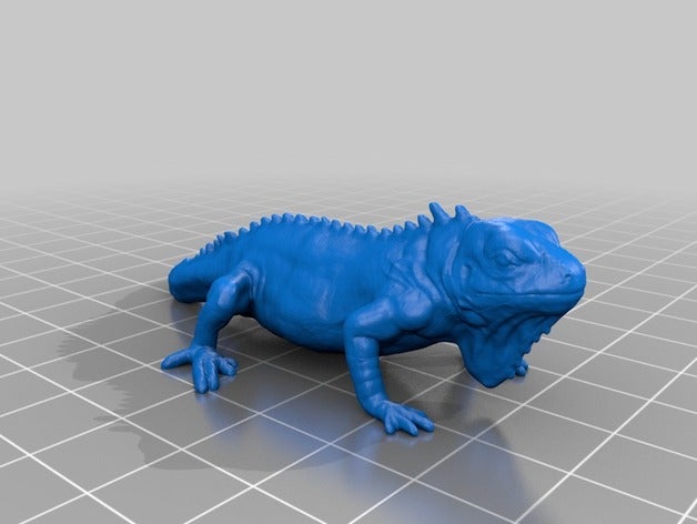 iguana modelleri 3D print model - Mito3D