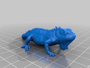 iguana models 3d print model - Mito3D