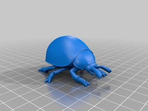 ladybird models 3d print model - Mito3D