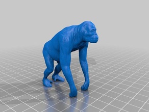 orangotango modelos 3d print model - Mito3D