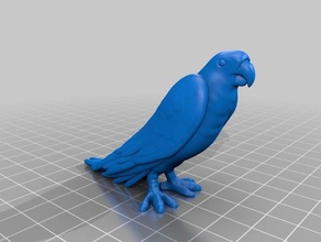 parrot modelli 3d print model - Mito3D