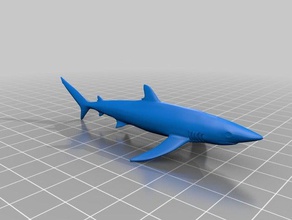 shark models 3d print model - Mito3D