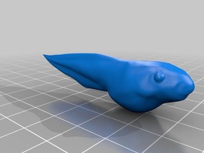 tadpole models 3d print model - Mito3D