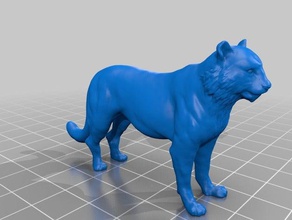 tiger models 3d print model - Mito3D