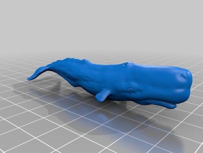 whale models 3d print model - Mito3D