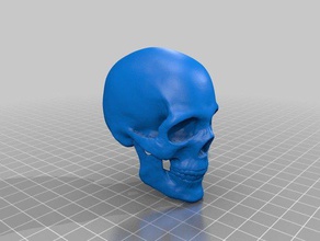 skull models 3d print model - Mito3D